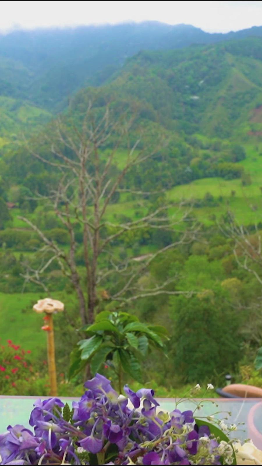 'Video thumbnail for El Mirador del Cocora Hotel'