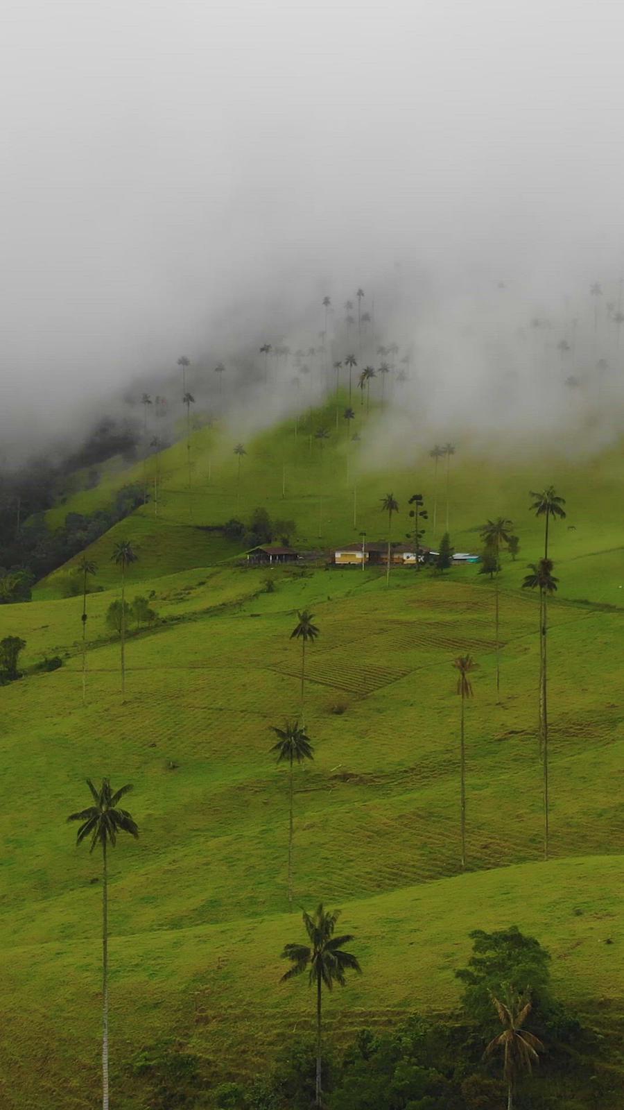 'Video thumbnail for Valle del Cocora'