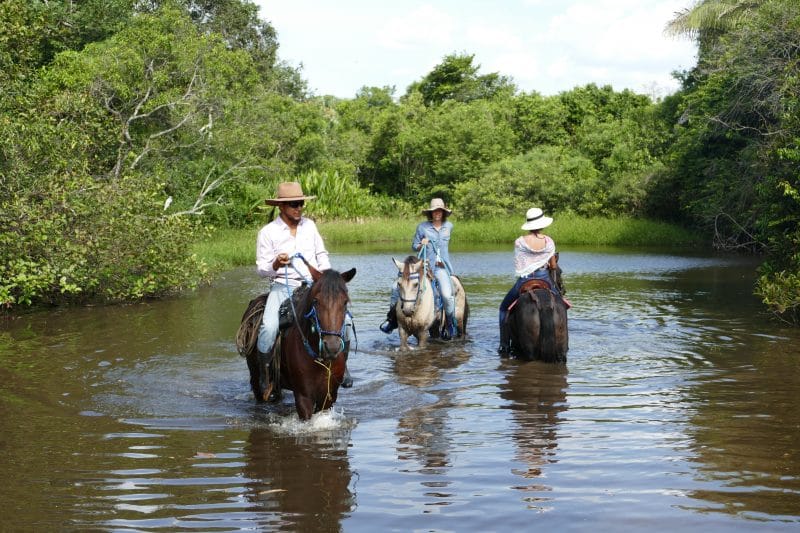 Cowboys horses riding in los llanos colombia