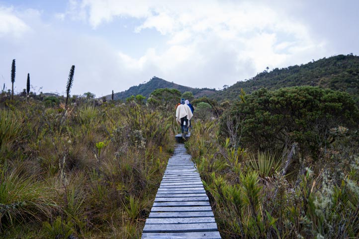 Tourist at Natural National Park Chingaza
