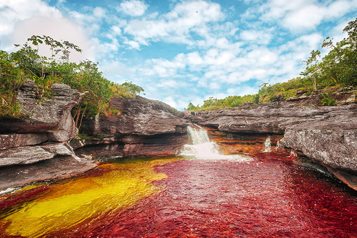 The river of 8 colors, Caño Cristales