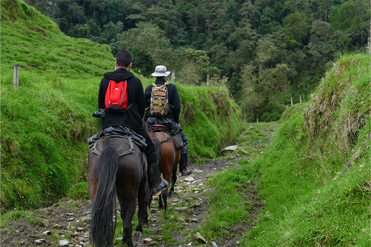 Horse Riding termales la quinta Caldas Colombia